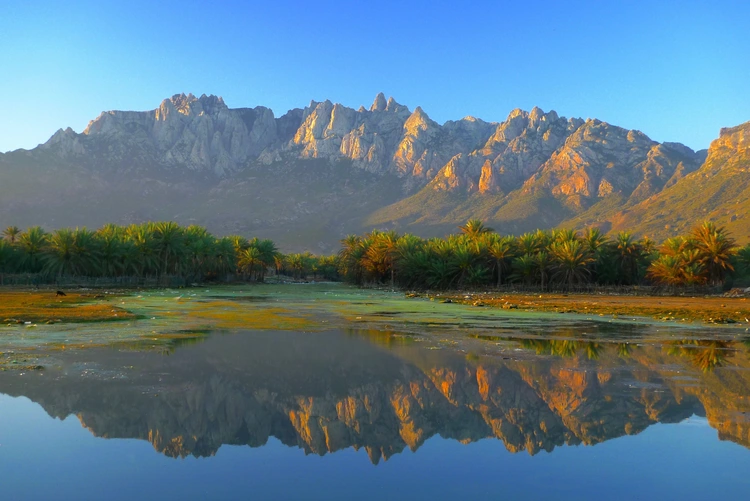 a lovely reflection in the water